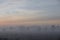 Misty Australian Landscape at Sunrise