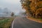 Misty autumn landscape. Asphalt road between autumn trees.