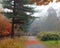 Misty autumnal park