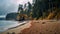 Misty Beachscape: Moody Coastal Views With Deciduous Trees And Rainy Weather