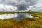 Misty bog landscape with Viru Raba moor in the morning. Lahemaa National park in Estonia.