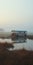 Misty Bus: A Cinematic Still Shot Of An Empty Bus In A Foggy Wetland