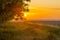 Misty canal in an agricultural field below a blue yellow sky in sunlight at a foggy sunrise in a spring morning