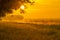 Misty canal in an agricultural field below a blue yellow sky in sunlight at a foggy sunrise in a spring morning