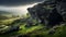 Misty Cave Overlooking Stream On English Moors