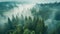 Misty clouds float low over lush coniferous forest, aerial view