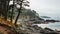 Misty Coastal Trail: Rocky Terrain, Forest, And Rainy Deciduous Trees