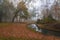 Misty colorful autumn park and creek