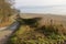 Misty countryside near Arundel. England