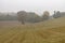 Misty countryside near Bologna, Italy