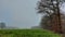 Misty day. Tree photo. Agricultural land. Cultivated field.