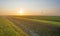 Misty farmland with vegetables at sunrise in summer