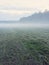 Misty field with freshly mown grass