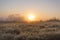 Misty Fields in Farm at Sunrise