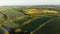 Misty fields in morning birds eye view