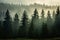 Misty Fir Pine Forest in Soft Light
