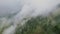 Misty fog blowing over pine tree forest, Rainy weather in mountains. Mystical and magical Aerial footage of spruce