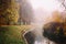 Misty fog forest in Belarus park by the river, golden autumn folliage