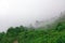 Misty Foggy Landscape On Bad Weather Summer Day