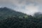 Misty foggy and lush mountain landscape