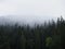 Misty foggy mystical clouds atmosphere mood weather above forest treetops at Caumasee Flims Switzerland