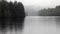 Misty, Foggy, Rainy Morning on the Cowlitz River