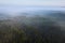 Misty forest landscape aerial view. Fog in pine forest. Nature background. Foggy forest from above