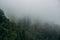 Misty Forest Mountain Nature Background in North Caucasus