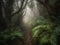 Misty Forest Pathway in the Early Morning