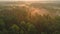 Misty Forest at Sunrise - Captivating Aerial Photography of Nature\'s Tranquil Beauty