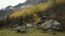 Misty forest in the valley of Gressoney near Monte Rosa during autumn