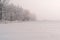 Misty frosty forest landscape near countryside