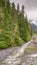 Misty Fryingpan Creek, Mount Rainier National Park, WA