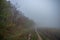 Misty gloomy autumn morning in the field