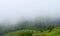 Misty Green Hills in Kerala - Peerumedu, Idukki District - Natural Background