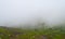 Misty Green Hills - Peerumedu, Idukki District, Kerala, India - Natural Background