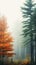 Misty Hemlocks: A Digital Forest of Autumnal Beauty