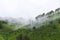 Misty Hills of Munnar - White Clouds Descending over Tea Gardens in Kerala, India