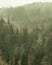 Misty Hills of Snoqualmie Falls