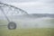 Misty Irrigation by Pivot sprinkler on grass field