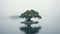 Misty Island: A Calming Composition Of A Lone Tree On A Lake