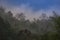 Misty jungle in Asia has sunrises evaporating morning dew Chiang Mai