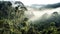 Misty jungle rainforest from above in the morning. Tropical forest with sun rays and fog