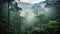 Misty jungle rainforest from above in the morning. Tropical forest with sun rays and fog