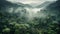 Misty jungle rainforest from above in the morning. Tropical forest with sun rays and fog