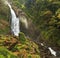 Misty Jungle Waterfall