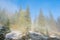 Misty landscape of morning in a moutain forest. Sun rays flowing through the evergreen pine and fir tree branches. Melting first