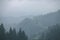 Misty landscape of mountain and forest. Summer foggy and cloudy morning