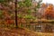 Misty late fall landscape, wild lake in the autumn forest with reflection in the calm water