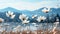 Misty meadow with white flowers in the foreground against the backdrop of mountains. Empty background